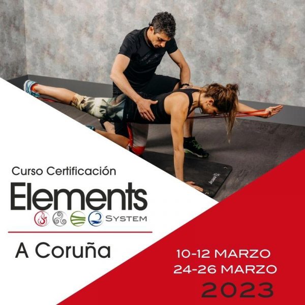 Curso Certificación Elements Systems A Coruña
