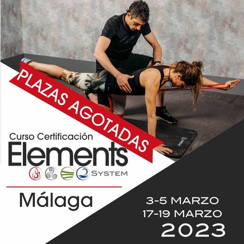 Curso Certificación Elements System 2023 Málaga